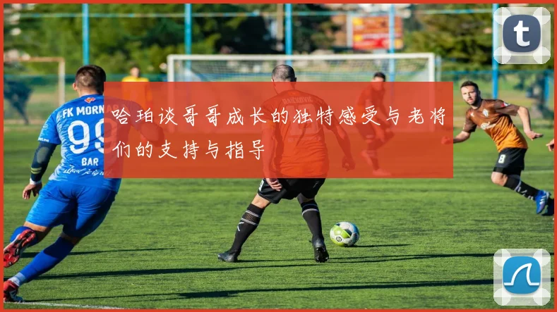 哈珀谈哥哥成长的独特感受与老将们的支持与指导
